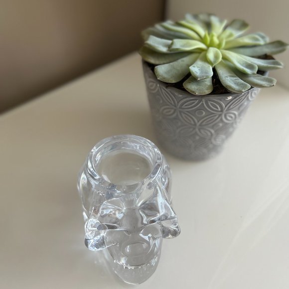 Makeup Brush or Pen Holder Glass Skull - Picture 6 of 8